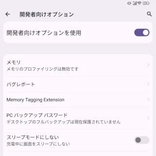 Unihertz Titan 2→設定→システム→開発者向けオプション→オン