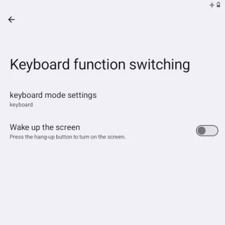 Zinwa Q25 Pro→設定→Keyboard function switching