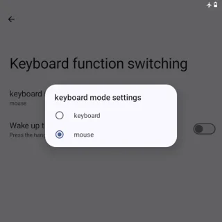 Zinwa Q25 Pro→設定→Keyboard function switching→keyboard mode settings