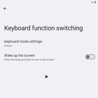 Zinwa Q25 Pro→設定→Keyboard function switching→マウスカーソル