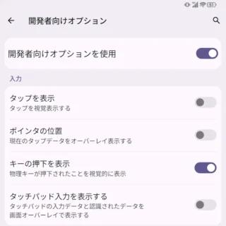 Unihertz Titan 2→設定→システム→開発者向けオプション→キーの押下を表示→オン