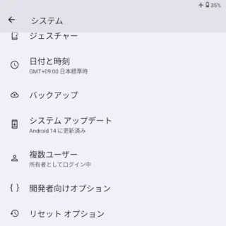 Zinwa Q25 Pro→設定→システム（開発者向けオプション）