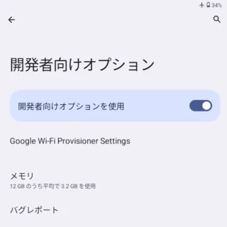 Zinwa Q25 Pro→設定→システム→開発者向けオプション