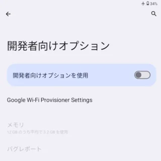 Zinwa Q25 Pro→設定→システム→開発者向けオプション→オフ