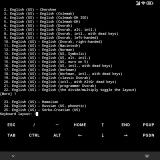 Androidアプリ→Andronix→Termux Execution→コマンド→Please select the layout→1.English (US)
