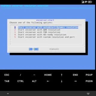 Androidアプリ→Andronix→Termux Execution→AndroNix vncserver resolution selection