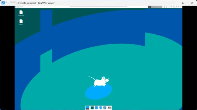 Windows 11→RealVNC Viewer→Ubuntu→Xfce